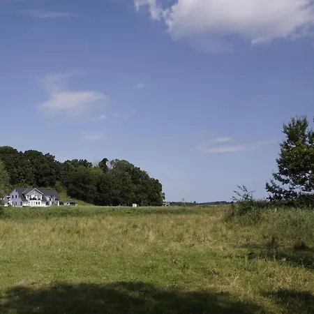 Ruegenreif - Nr 03 Klein Zicker