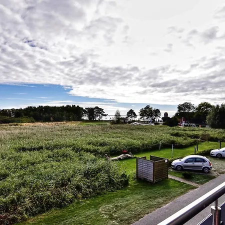 Ruegenreif - Nr 03 Klein Zicker