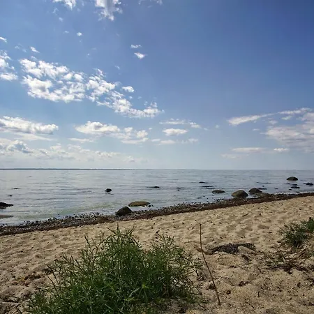 Ruegenreif - Nr 03 *